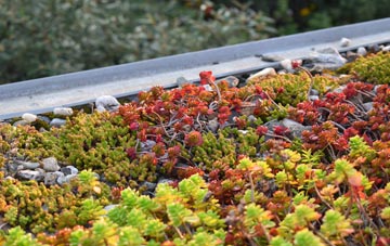 the cost of Pymoor green roof installation