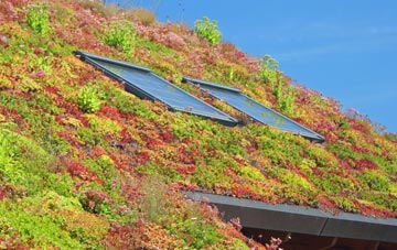 Pymoor living roof systems