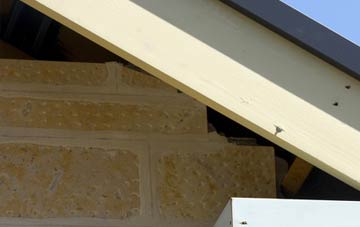 soffit repair Pymoor