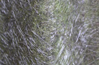 Pymoor fibreglass roof work